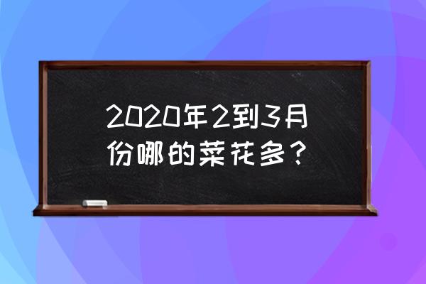 2020汉中的油菜花开了吗 2020年2到3月份哪的菜花多？