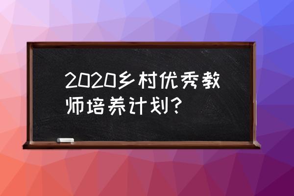 2020年青年教师培养计划 2020乡村优秀教师培养计划？