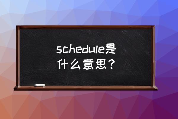 安排英文怎么说 schedule是什么意思？
