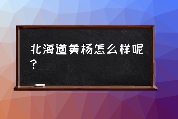 北海道黄杨 是什么样的 北海道黄杨怎么样呢？