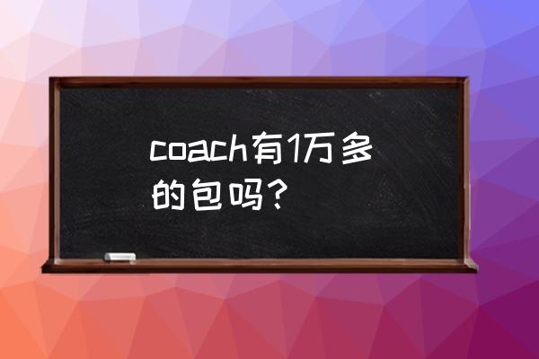 coach女包一般多少钱 coach有1万多的包吗？